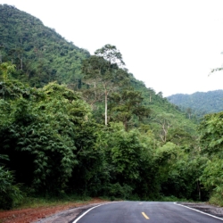 Hua Hin Citizen Images