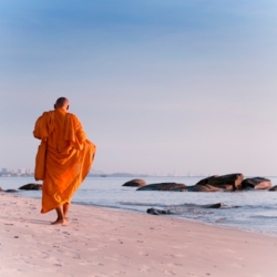 Hua Hin Citizen Images